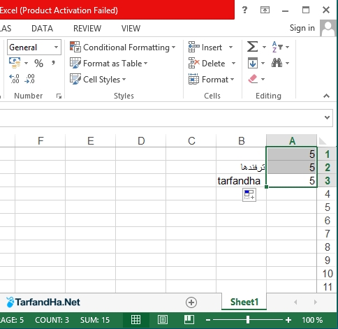 excel2
