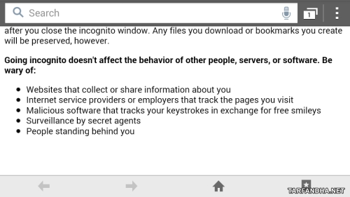 private_browsing_android3