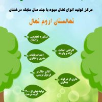 نهال فروشی|نهال گردو|قیمت نهال میوه
