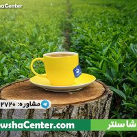 کاهش وزن و لاغری با دمنوش نیوشا کاهش وزن و لاغری با دمنوش نیوشا