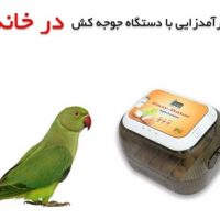 ترفند کسب درآمد با دستگاه جوجه کشی در خانه