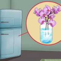 چگونه با گل های طبیعی موهای خود را بیآراییم