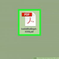نحوه ی کپی کردن یک عکس از فایل PDF به Word