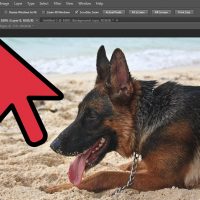 نحوه ی سیاه و سفید کردن یک عکس در فتوشاپ