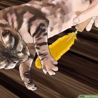 نحوه ی درست کردن اسباب بازی گربه با استفاده از چوب پنبه نحوه ی درست کردن اسباب بازی گربه با استفاده از چوب پنبه