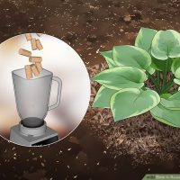 نحوه ی درست کردن تقویت کننده ی خاک باغچه با استفاده از چوب پنبه نحوه ی درست کردن تقویت کننده ی خاک باغچه با استفاده از چوب پنبه