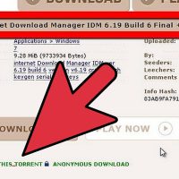 نحوه دانلود آهنگ های کارائوکه با استفاده از Internet Download Manager نحوه دانلود آهنگ های کارائوکه با استفاده از Internet Download Manager