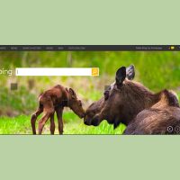 چگونه تصاویر روزانه Bing را در کامپیوتر خود دانلود کنیم چگونه تصاویر روزانه Bing را در کامپیوتر خود دانلود کنیم