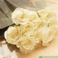 نحوه رنگ آمیزی گل رز سفید با رنگ خوراکی نحوه رنگ آمیزی گل رز سفید با رنگ خوراکی
