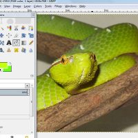 نحوه حذف پس زمینه با استفاده از ابزار GIMP Paths نحوه حذف پس زمینه با استفاده از ابزار GIMP Paths