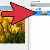 نحوه تنظیم روشنایی در GIMP از طریق تنظیمات “Brightness” نحوه تنظیم روشنایی در GIMP از طریق تنظیمات “Brightness”