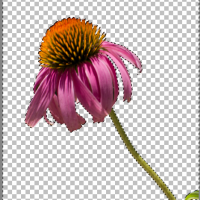 نحوه ویرایش Layer Mask در Zoner Photo Studio X نحوه ویرایش Layer Mask در Zoner Photo Studio X