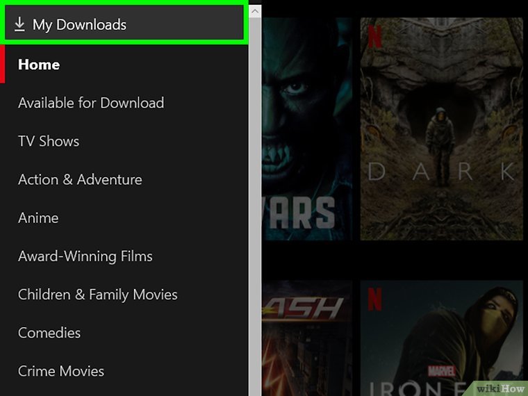 My Downloads